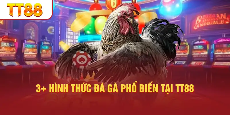 3+ hình thức đá gà phổ biến tại TT88
