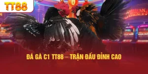 Đá Gà C1 TT88 – Trận Đấu Đỉnh Cao