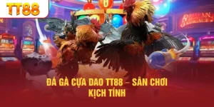 Đá Gà Cựa Dao TT88 – Sân Chơi Kịch Tính