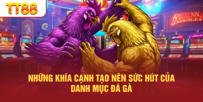 Những khía cạnh tạo nên sức hút của danh mục đá gà