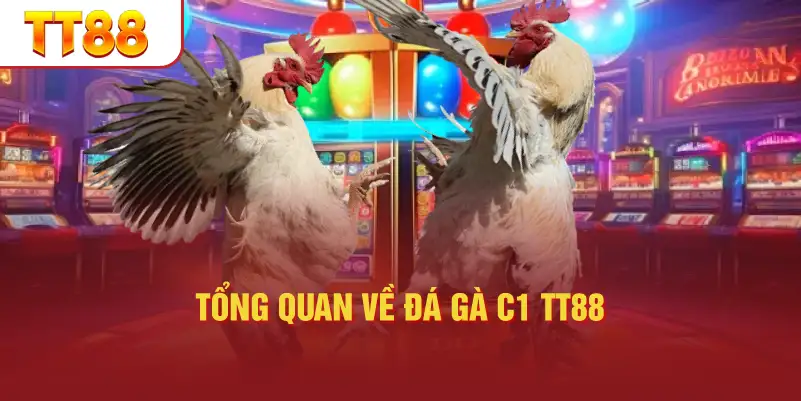 Tổng Quan Về Đá Gà C1 