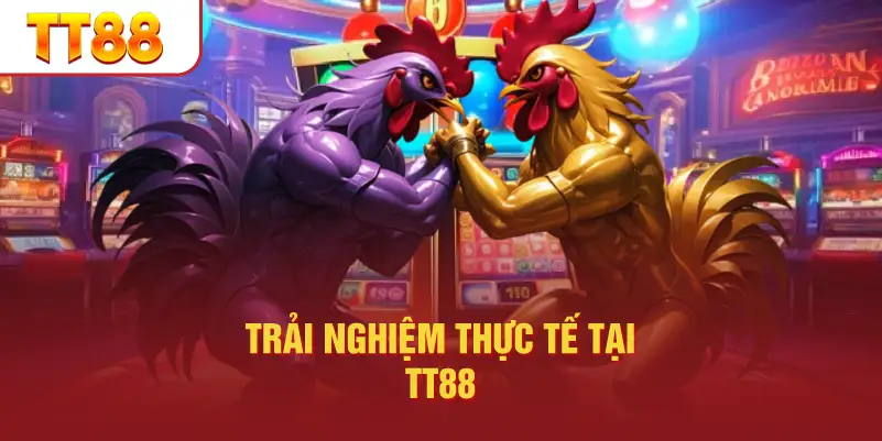 Các Loại Cược Trong Đá Gà C1 TT88